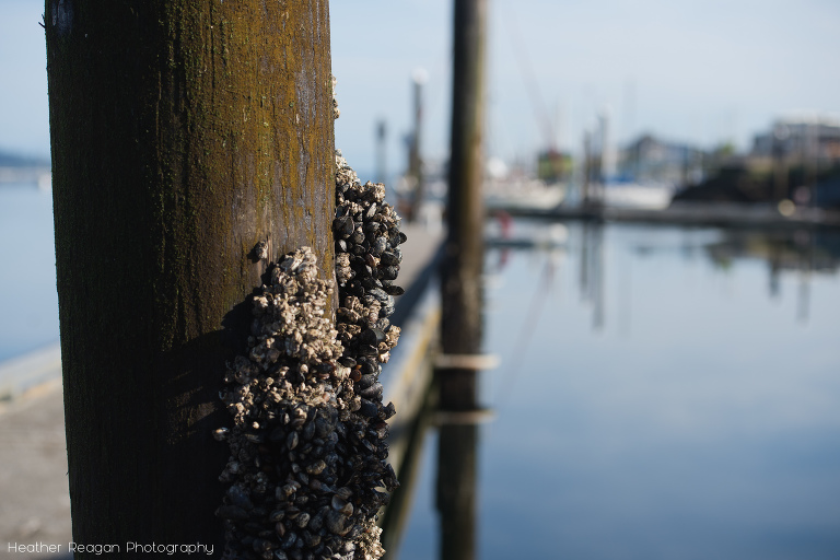 Heather Reagan Photography - Portland Newborn Photographer - Pinkletoes-13