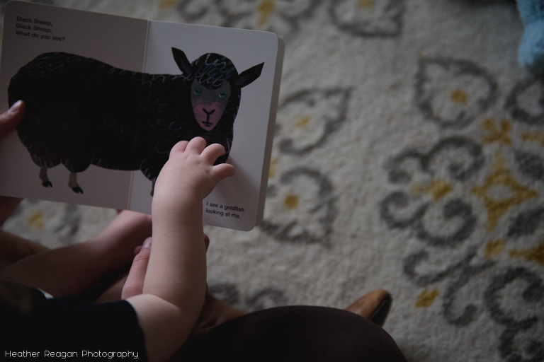 Heather Reagan Photography - Portland Family Photographer - Grau-16