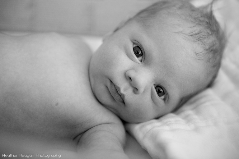 Lake Oswego newborn photography