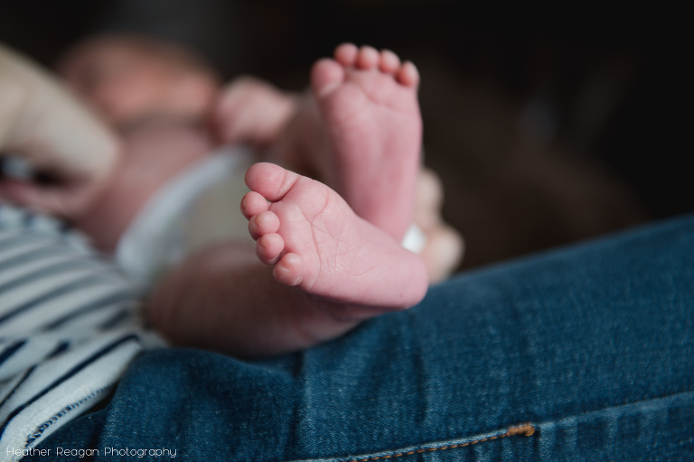 Baby toes | Lake Oswego in-home newborn photography