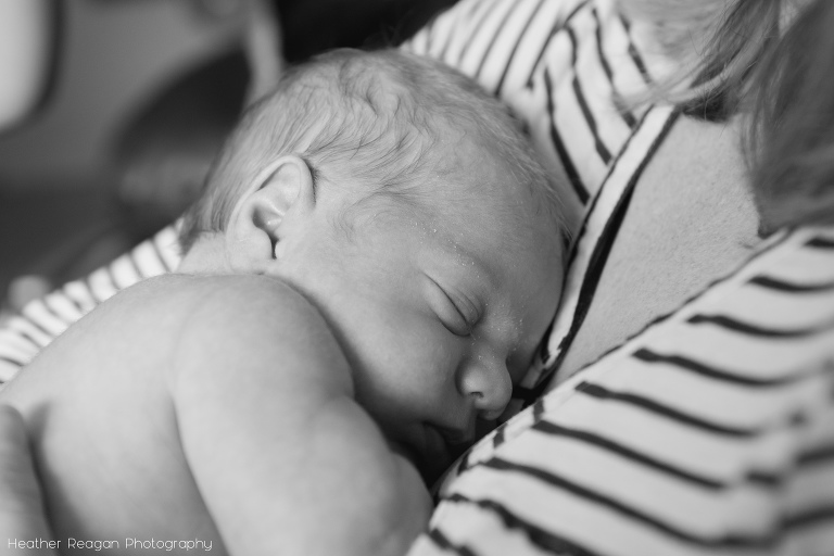 Lake Oswego newborn photography