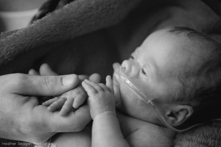 The Tiny Footprints Project Preemie Photography Portland OR