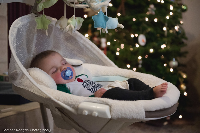 Snoozing in front of the Christmas tree, Portland documentary photography