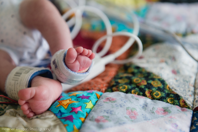 The Tiny Footprints Project NICU photography tiny baby toes