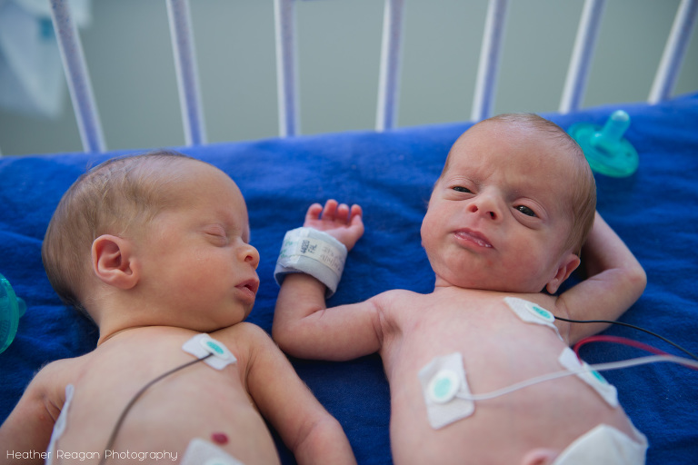 Newborn brothers | The Tiny Footprints Project | Portland NICU Photography