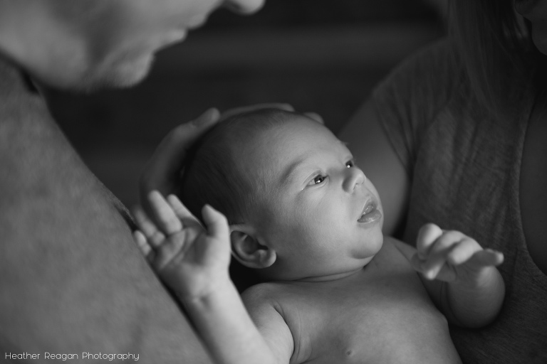Newborn snuggles - Tualatin, OR in-home newborn photography