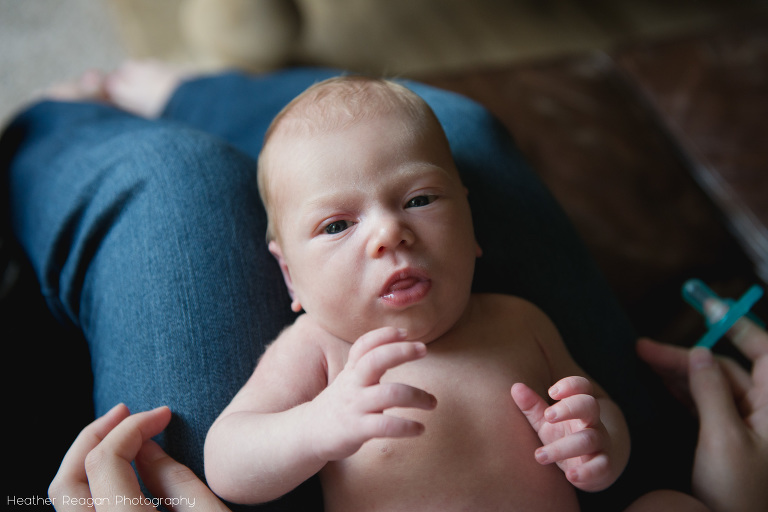 Newborn gazes - Portland, OR - in-home documentary newborn session