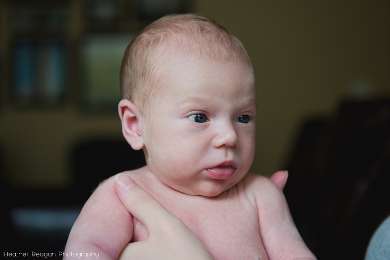 Newborn boy - Lake Oswego lifestyle newborn session