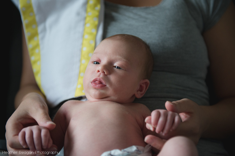 Newborn snuggles - Portland, OR newborn photographer