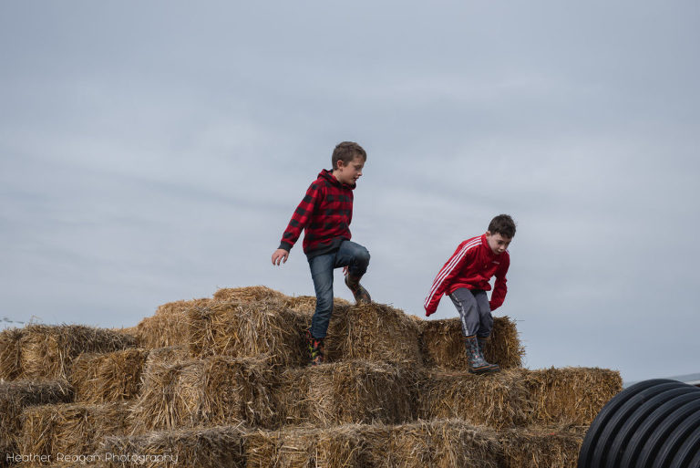 Frog Pond Farm - Hay pyramid
