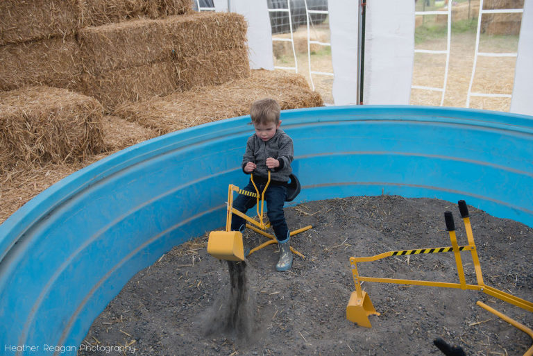 Frog Pond Farm - Digging!