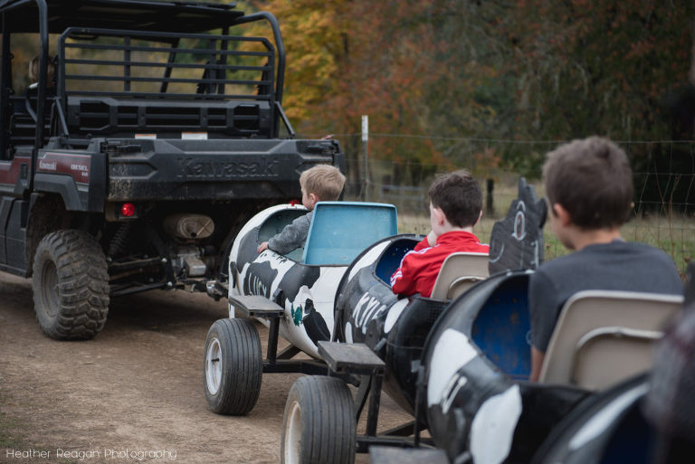 Frog Pond Farm - Cow train