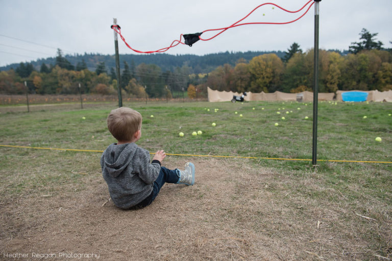 Frog Pond Farm - Sling shot