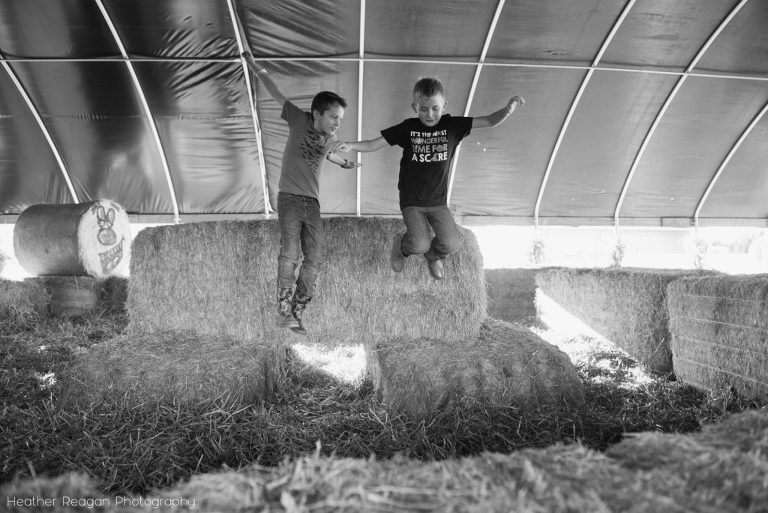 Bauman Farms - Jumping in the hay