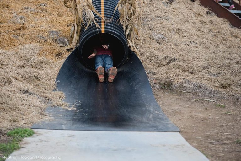 Bauman Farms - Sliding