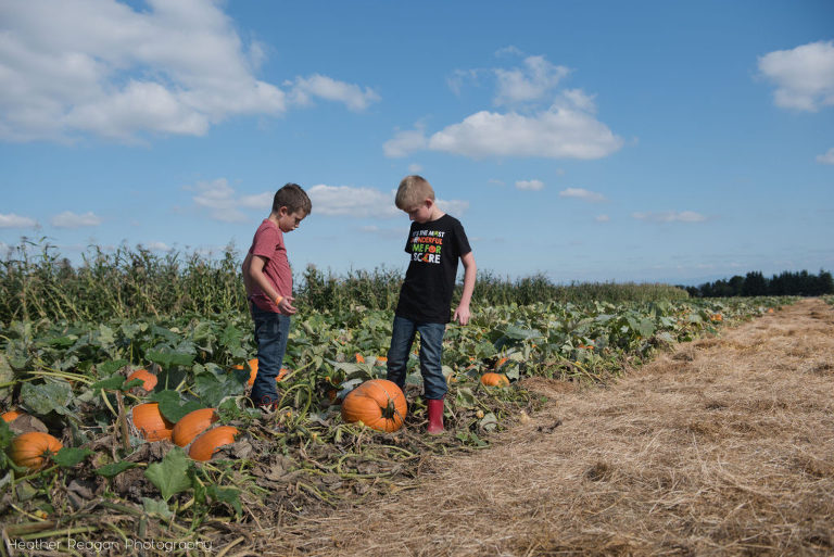 Portland Pumpkin Patches