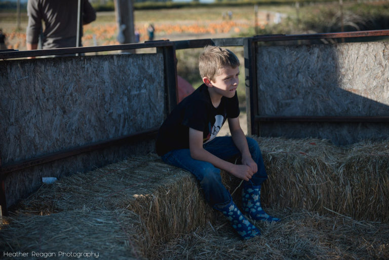 Bella Organic - Hay ride
