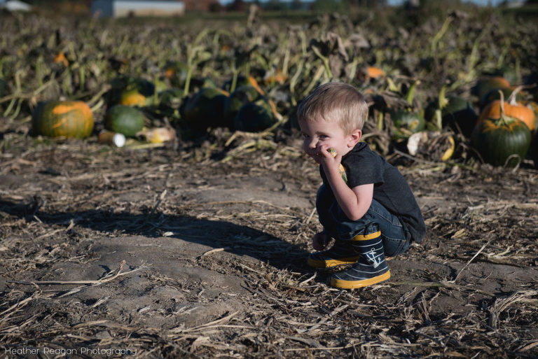 Bella Organic - Picking pumpkins