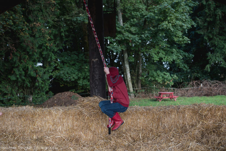Fir Point Farms - Rope swing