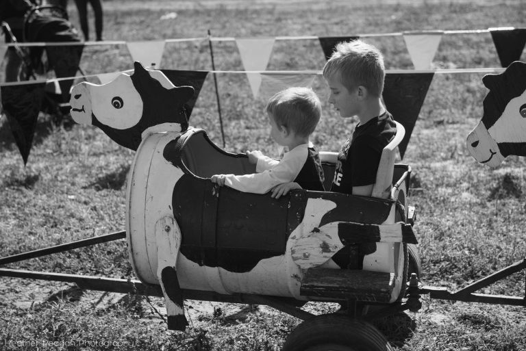 Fir Point Farms - Cow train