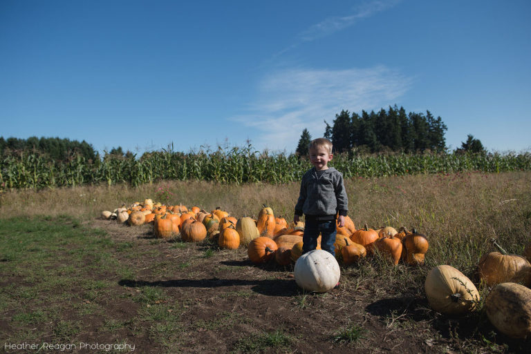 The Flower Farmer - Picking a pumpkin
