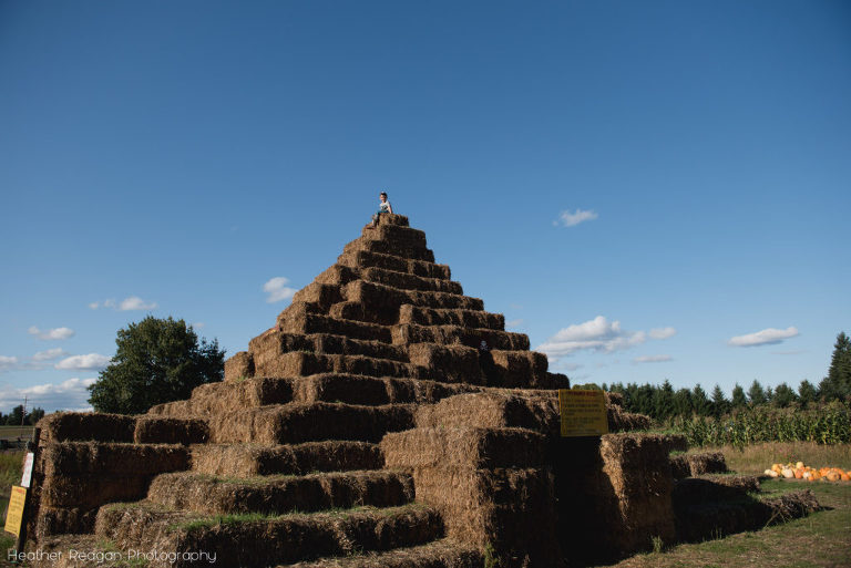 The Flower Farmer - Hay pyramid