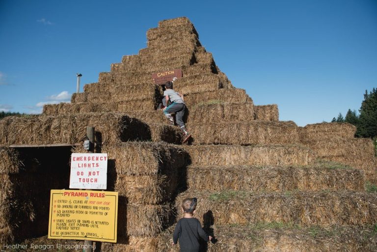 The Flower Farmer - Exploring the hay pyramid