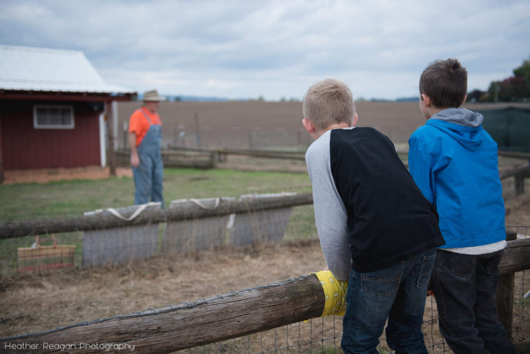 French Prairie Garden - Pig races