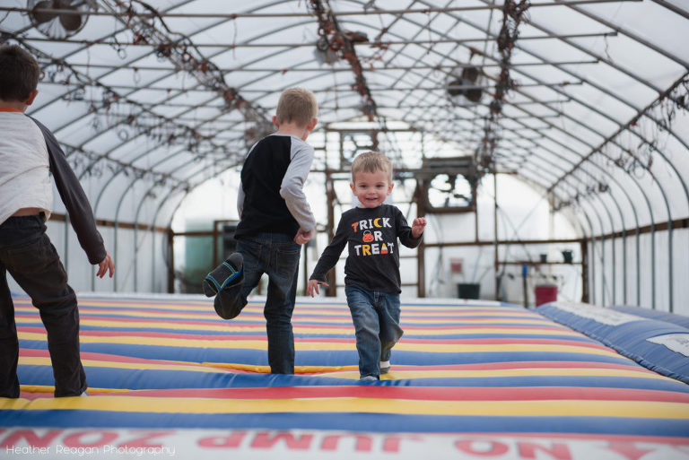 French Prairie Garden - Bounce pad