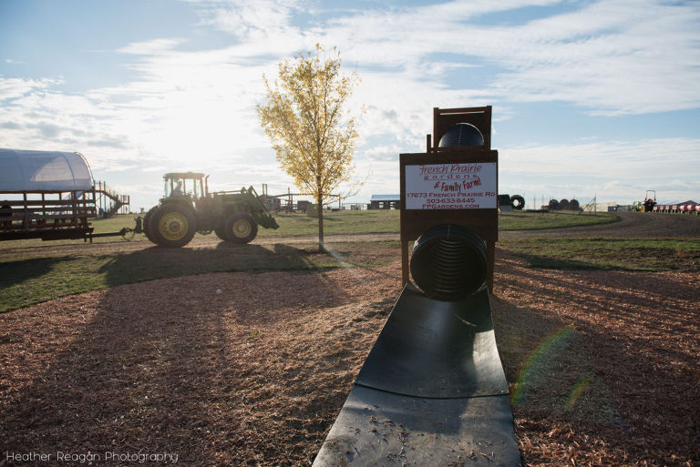 French Prairie Garden - St Paul, Oregon