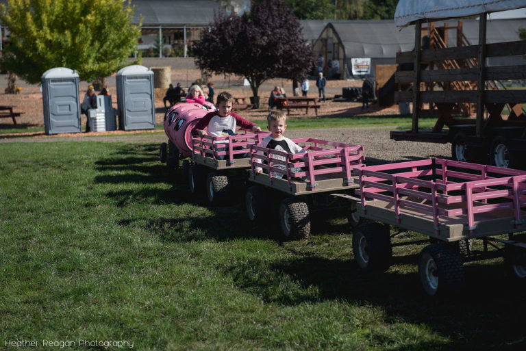 French Prairie Garden - Pig train