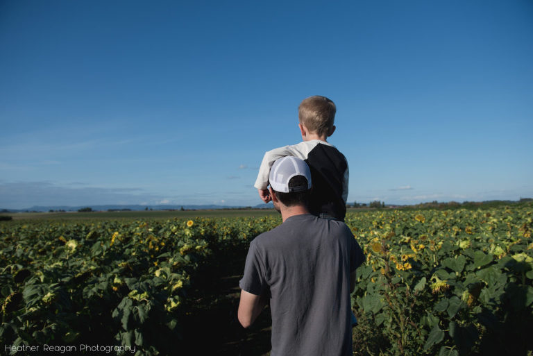 French Prairie Garden - Sunflower fields