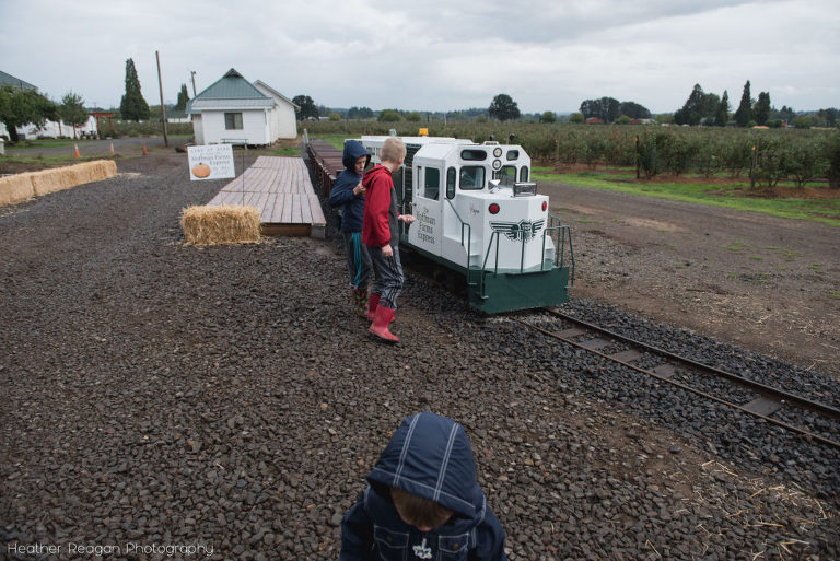 Hoffman Farm Store - Train