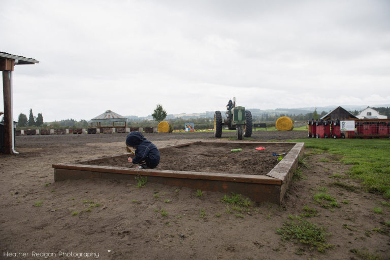Hoffman Farm Store - Digging in the sand