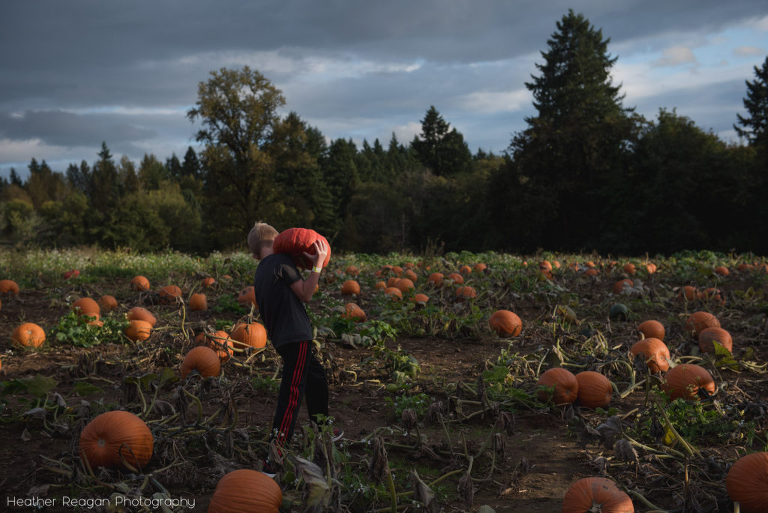 Lee Farms - Picking a pumpkin