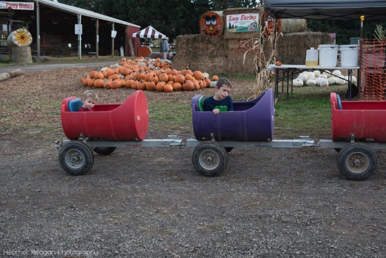 Lee Farms - Barrel train