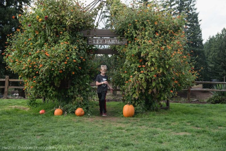 Lee Farms - Portland pumpkin patch