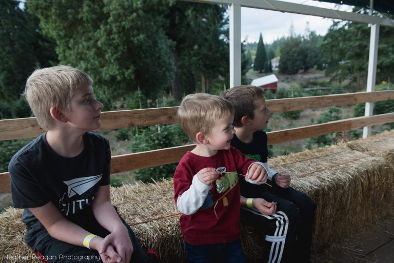 Lee Farms - Hay ride
