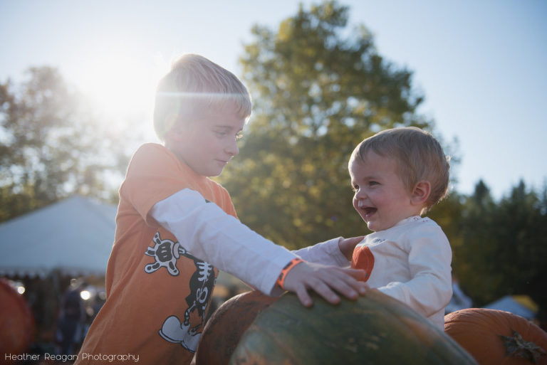 Liepold Farms - Pumpkins
