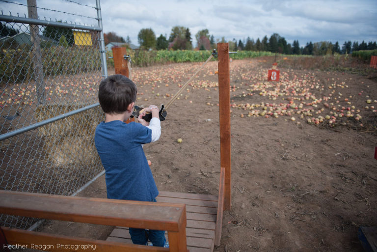 Liepold Farms - Apple pult