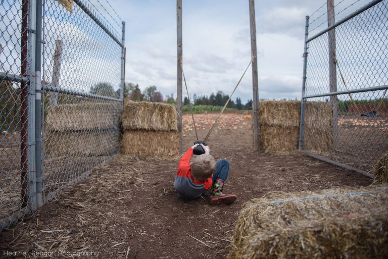 Liepold Farms - Apple pult