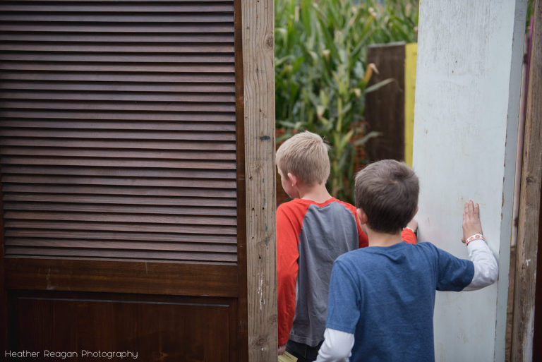 Liepold Farms - Corn maze doors