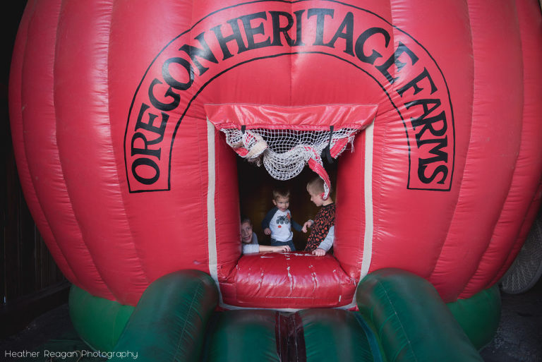 Oregon Heritage Farms - Apple bounce house