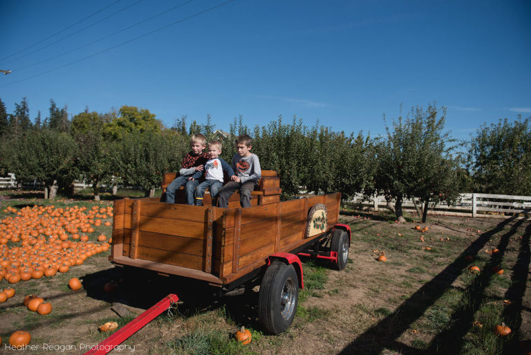 Oregon Heritage Farms - Portland pumpkin patch