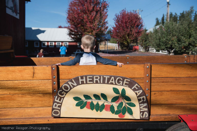 Oregon Heritage Farms - Hillsboro pumpkin patch