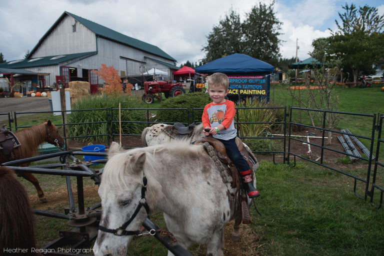 Plumper Pumpkin Patch - Pony ride