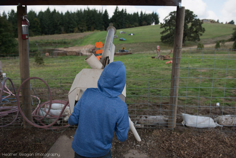 Plumper Pumpkin Patch - Apple canon