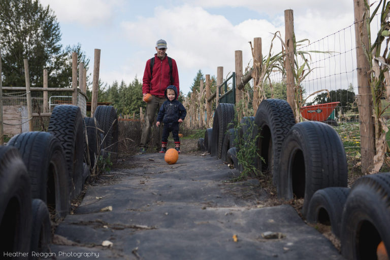 Plumper Pumpkin Patch - Pumpkin bowling