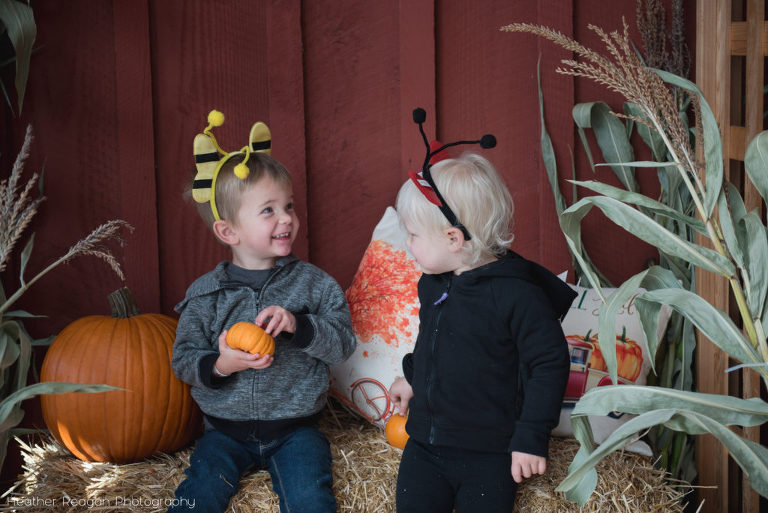 Red Berry Barn - Photo booth