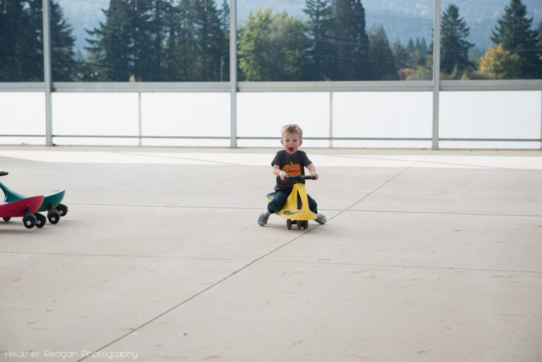 Red Berry Barn - Plasma car